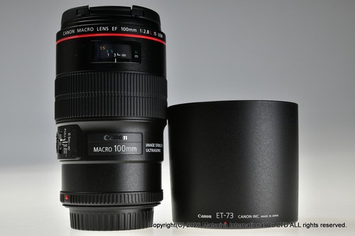 Canon 100mm 8l macro is - ef,