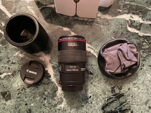 Canon 100mm 8 l macro - l,