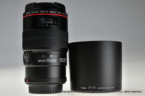 Canon 100mm 8l - f/2.8l, macro